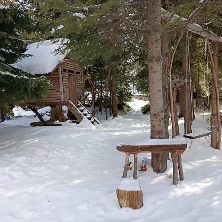 My Favorite Place - Моето Любимо Място - Family Apartment, Mountain Lake complex Смолян Экстерьер фото