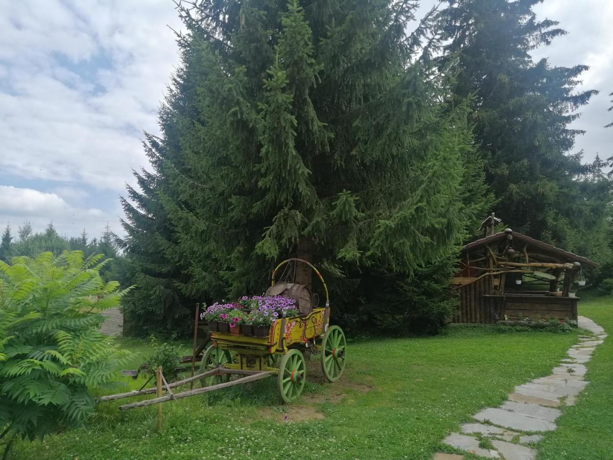 My Favorite Place - Моето Любимо Място - Family Apartment, Mountain Lake complex Смолян Экстерьер фото