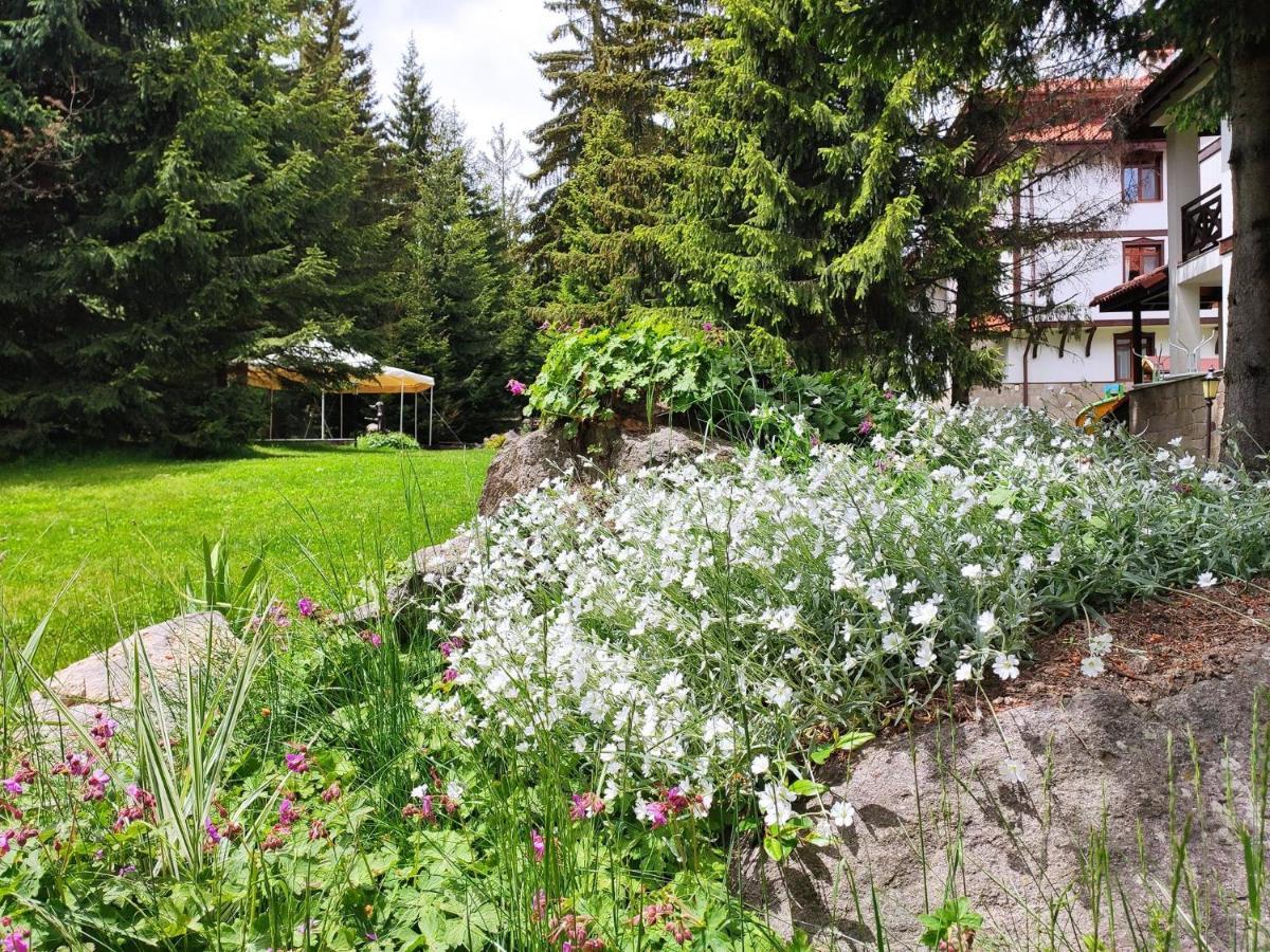 My Favorite Place - Моето Любимо Място - Family Apartment, Mountain Lake complex Смолян Экстерьер фото